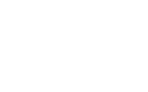 LOGOwhite